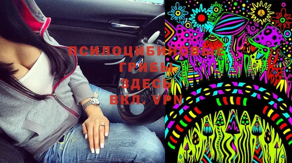 прущие крисы Балахна